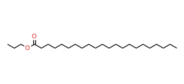 Propyl docosanoate